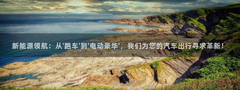 下载新宝gg怎么下载：新能源领航：从\'