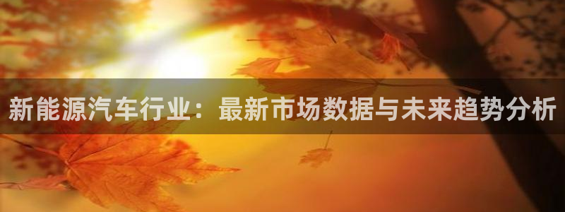 新宝皇冠gg：新能源汽车行业：最新市场数