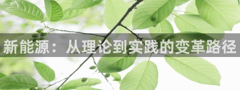 新宝gg帐号注册：新能源：从理论到实践的