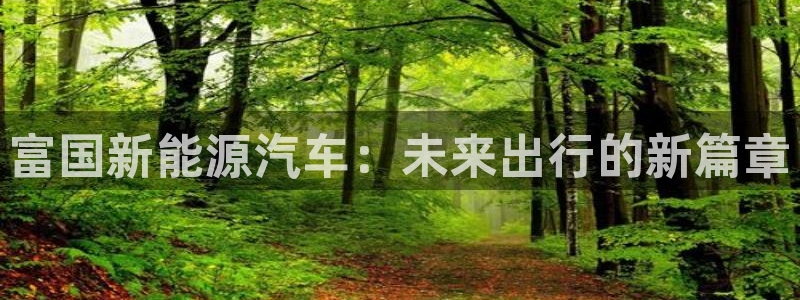 新宝一GG：富国新能源汽车：未来出行的新