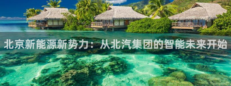 新宝gg官方主管：北京新能源新势力：从北